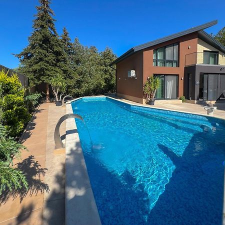Pino - Villa, Casa, Cucina Е Terrazza Albena Bagian luar foto