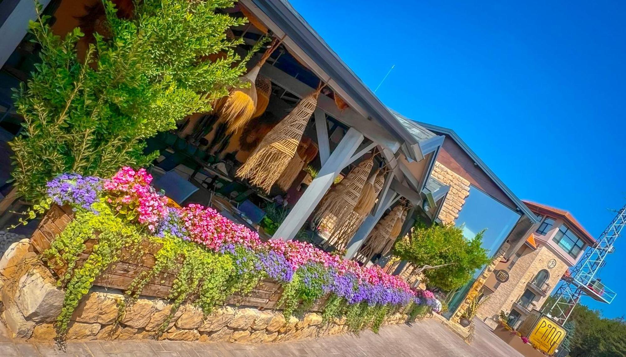 Pino - Villa, Casa, Cucina Е Terrazza Albena Bagian luar foto