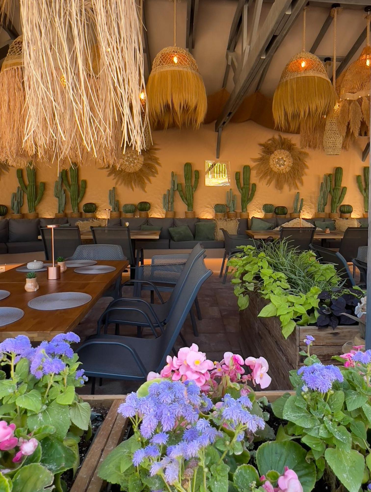 Pino - Villa, Casa, Cucina Е Terrazza Albena Bagian luar foto
